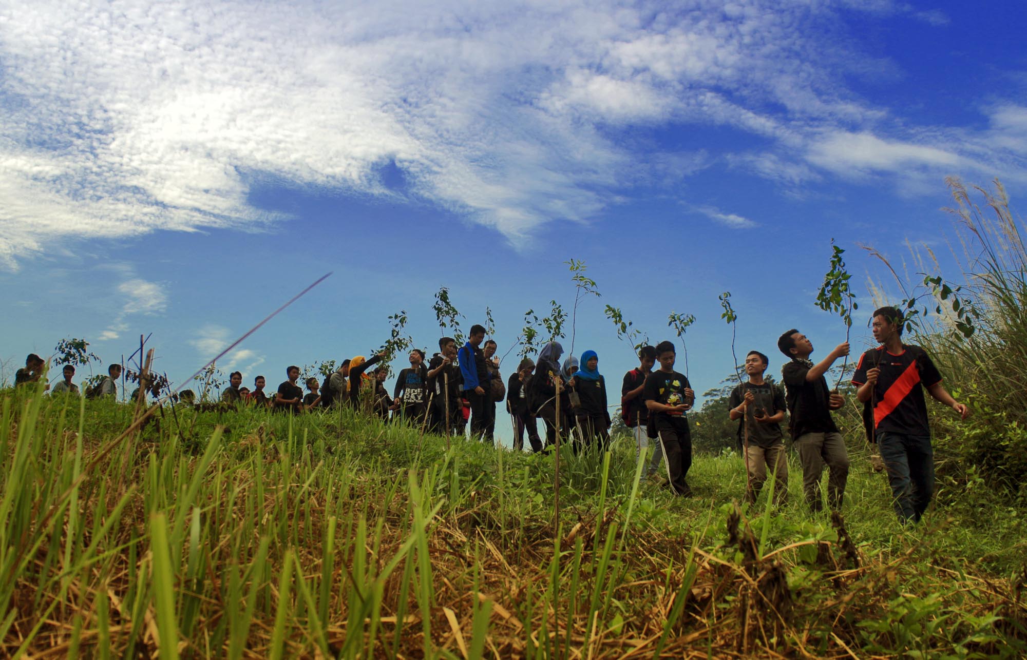 Menanam Pohon, Menebar Harapan